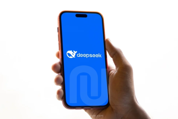 Whatis deepseek